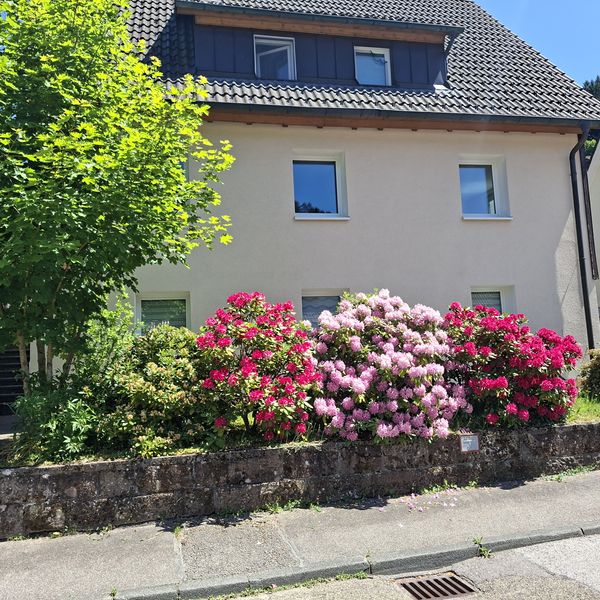 Warme 3-Zimmer-Wohnung mit EBK in Alpirsbach-Rötenbach